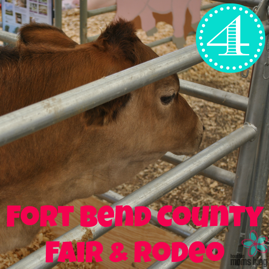 Kelly - Fall Events - Ft Bend Co Fair