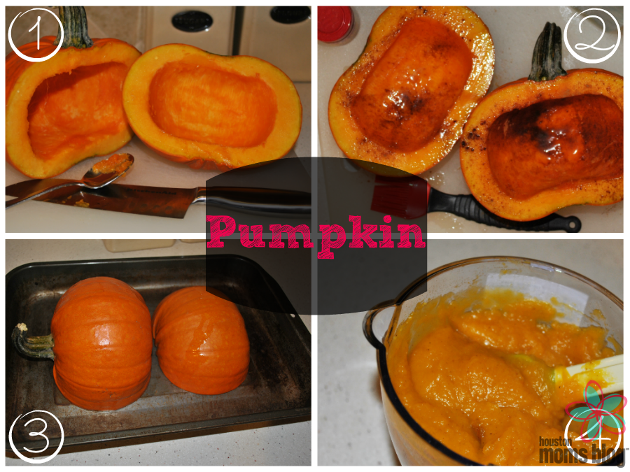 Homemade First Foods - Pumpkin