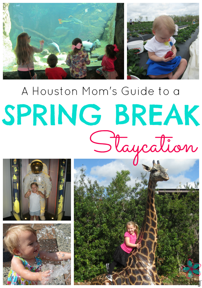Houston Spring Break Staycation
