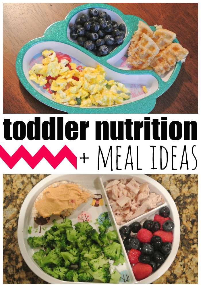 Toddler Nutrition and Meal Ideas. A photograph of two meals in divided plates. 