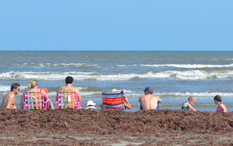 A photograph of a family at a beach.