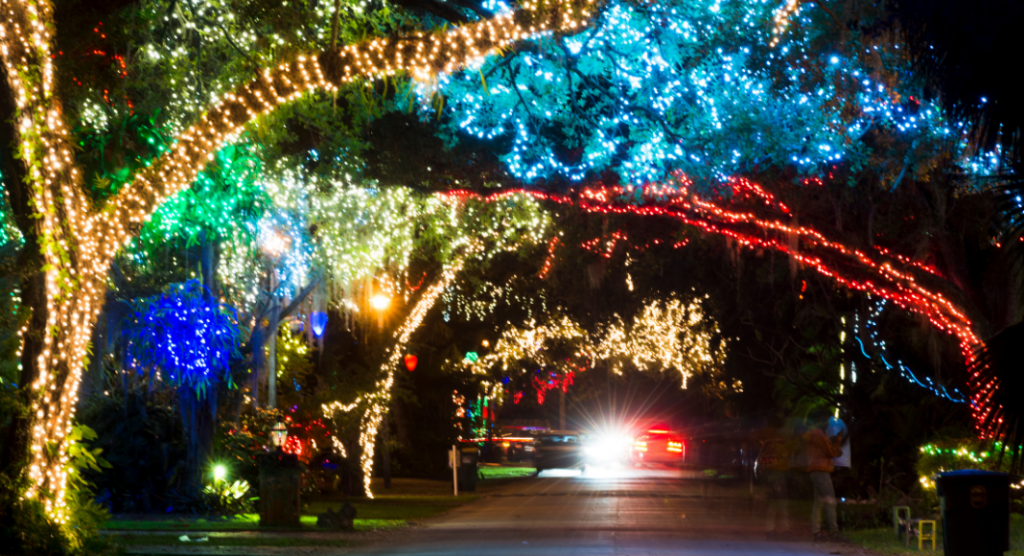 Colorful Christmas lights lining the trees along a street. 