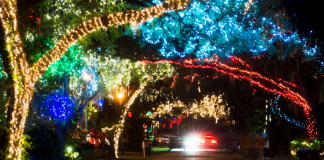 Colorful Christmas lights lining the trees along a street.