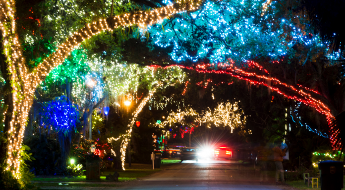 Houston’s Best Christmas Lights :: Neighborhood Edition Colorful Christmas lights lining the trees along a street.
