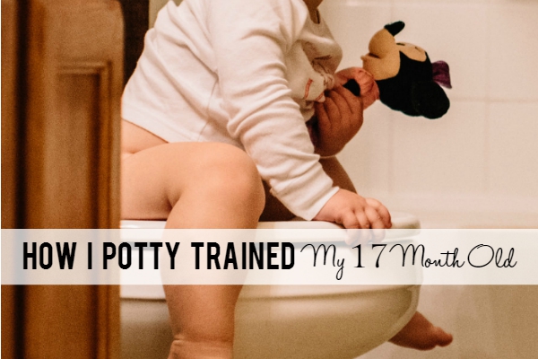 How to Potty Train at 17 months. A photograph of a young child holding a stuffed animal and sitting on a toilet.