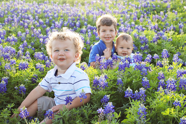 Top Greater Houston Bluebonnet Sightings | Houston Moms Blog