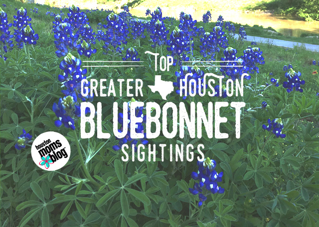 Top Greater Houston Bluebonnet Sightings | Houston Moms Blog