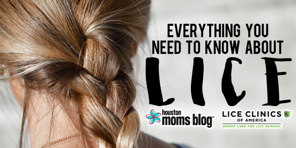 Everything You Need to Know About ... LICE! | Houston Moms Blog