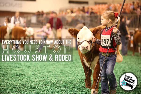Everything You Need to Know about the Houston Livestock show and Rodeo. A photograph of a young girl leading a cow. Logo: Houston Moms Blog.