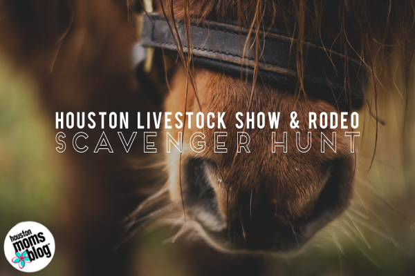Houston Livestock Show &amp; Rodeo :: SCAVENGER HUNT! | Houston Moms Blog