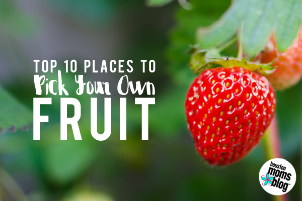 Top 10 Places to Pick Your Own Fruit in the Houston Area | Houston Moms Blog