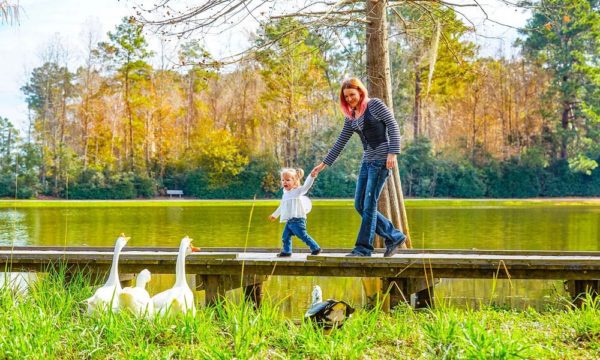 A mother walking on a boardwalk with her daughter above a pond with geese nearby.