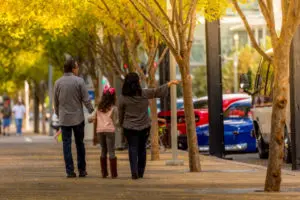 A family walking on a tree-lined sidewalk.
