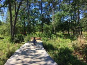 Houston Arboretum