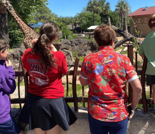 family stands at fence looking at giraffes at the Houston Zoo