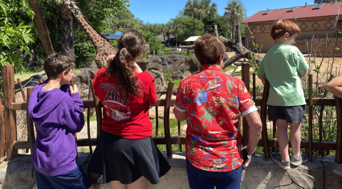 family stands at fence looking at giraffes at the Houston Zoo