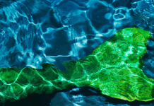 green mermaid tail in water