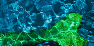 green mermaid tail in water
