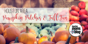 Houston Moms Blog "Houston Area Pumpkin Patches & Fall Fun"