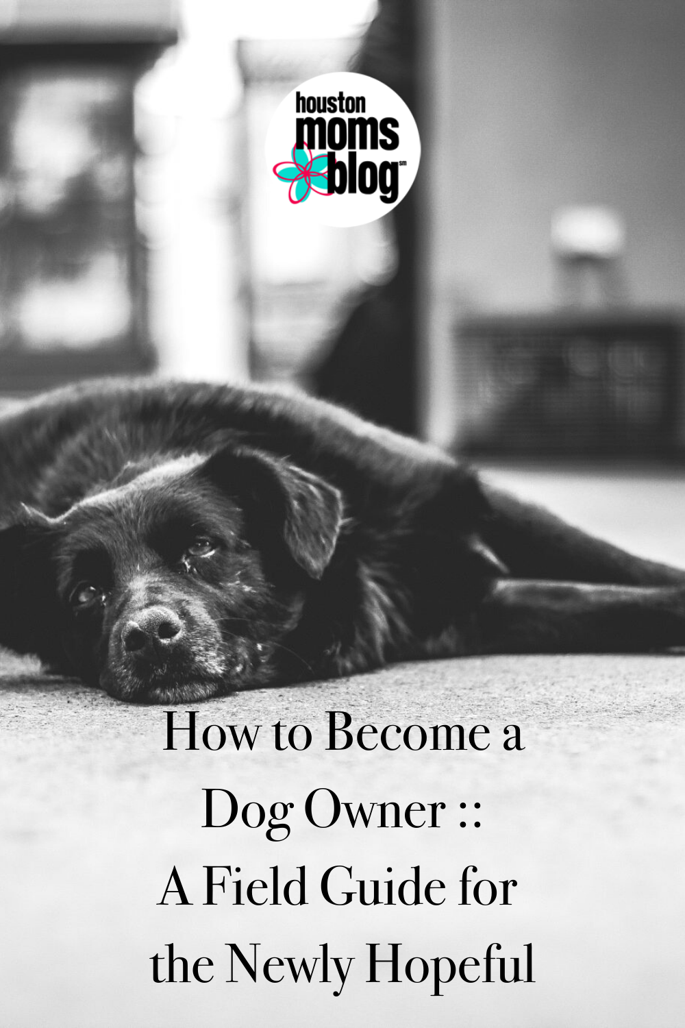 Houston Moms Blog "How to Become a Dog Owner:: A Field Guide for the Newly Hopeful" #houstonmomsblog #momsaroundhouston