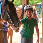 horse smaller-2