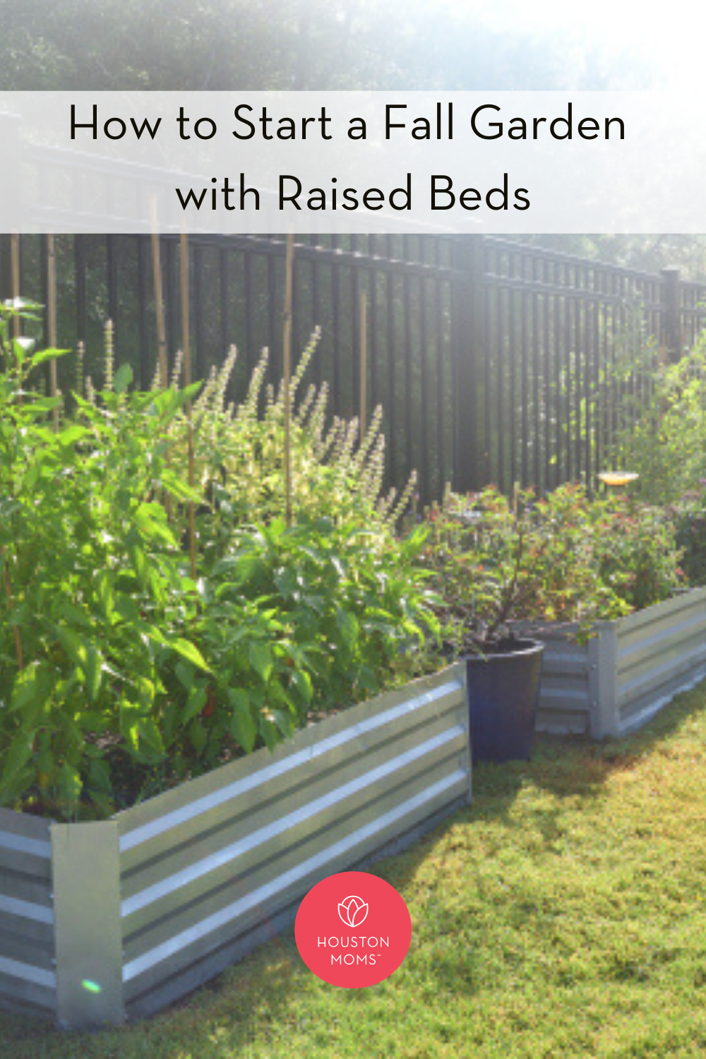 Houston Moms "How to Start a Fall Garden with Raised Beds" #houstonmoms #houstonmomsblog #momsaroundhouston
