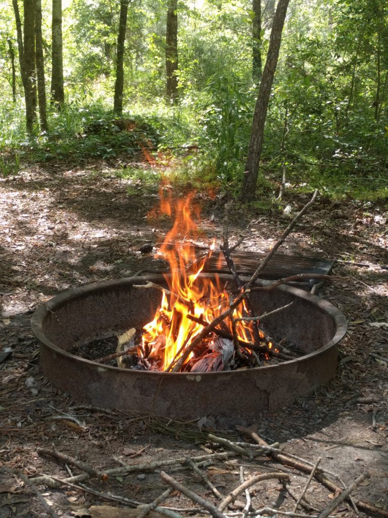 A fire in a firepit surrounded by trees. 