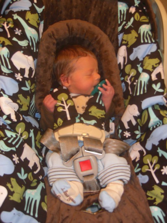 a newborn baby in an infant carrier