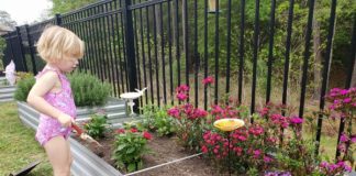 Building a Butterfly Garden with Your Kids