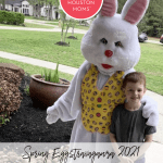 Spring Egg Pinterest