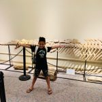 IMG_5286