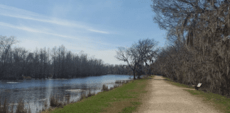 5 Texas State Parks You Can Visit From Houston