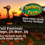 Dewberry Farm Banner Ad