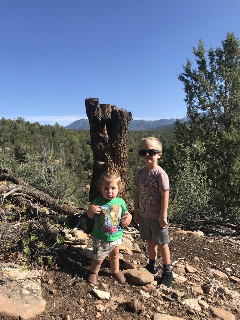 A young boy and girl hiking. 