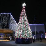 galaxy-lights-tree-entrance-crop