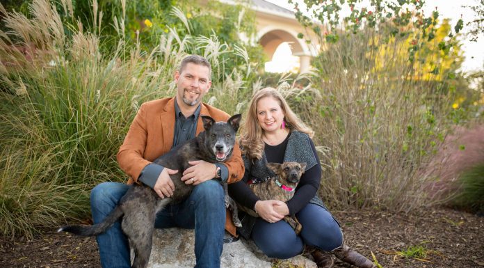 I Loved Fur First: Lessons in Parenting Learned from My Dogs