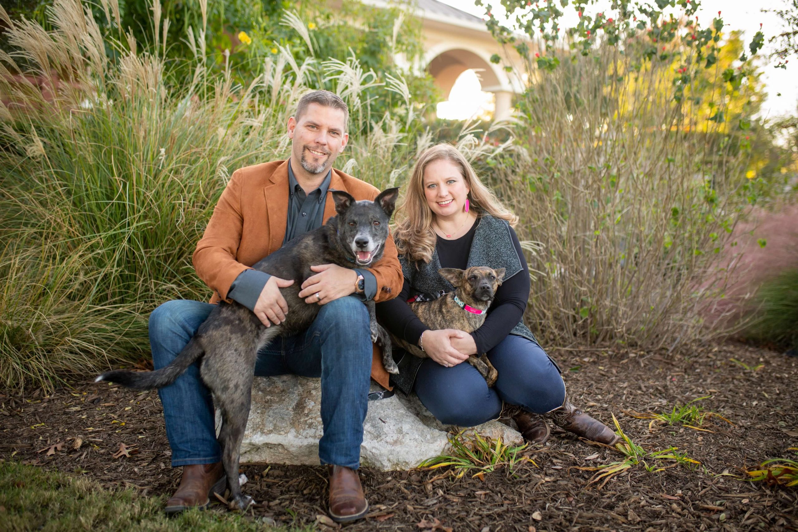 family picture of husband and wife with two dogs