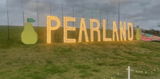Fun Family Activities in Pearland and Alvin