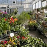 Gardeningcentersfeature