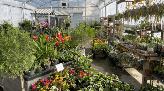 5 Houston Area Gardening Centers: Grow Local, Buy Local