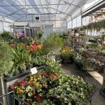 PlantsForAll_01-main
