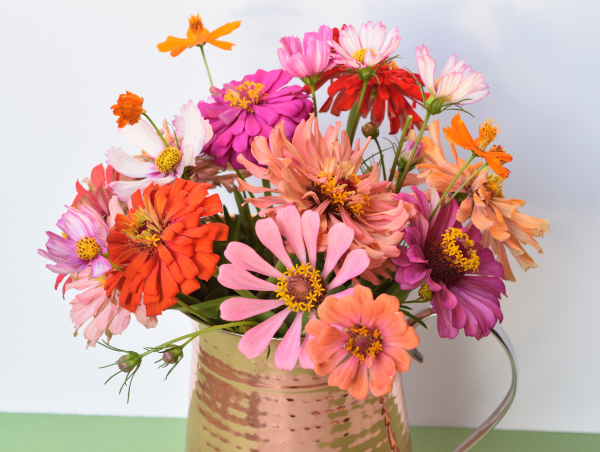 mixed bouquet of zinnias and cosmos