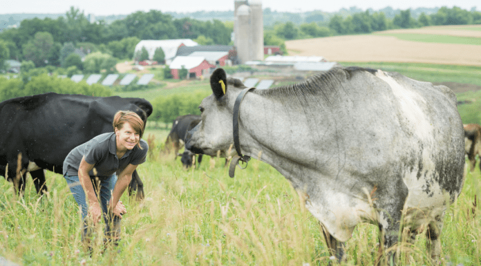 Feel Refreshed this Summer with Organic Valley {+ $100 Giveaway!} woman and cow in pasture