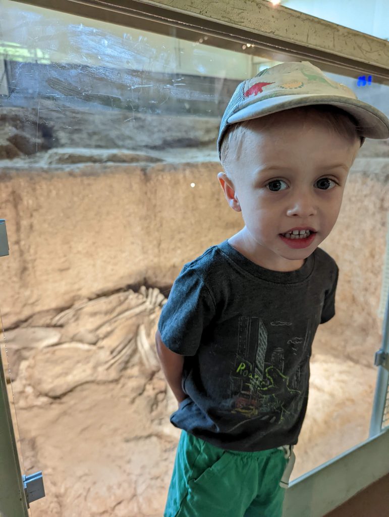 child in baseball cap poses in front of window