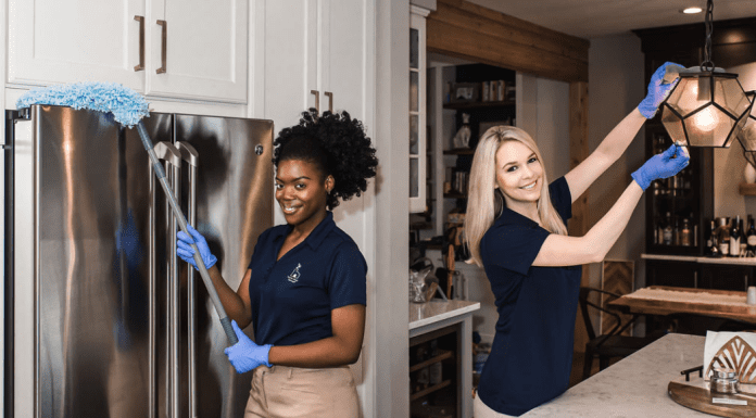 It’s Time to Call in the Heroes- The Home Clean Heroes!