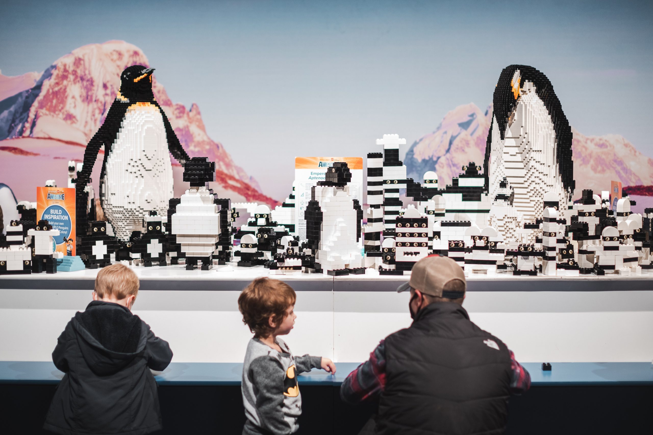 LEGO® Awesome Exhibition: penguins 