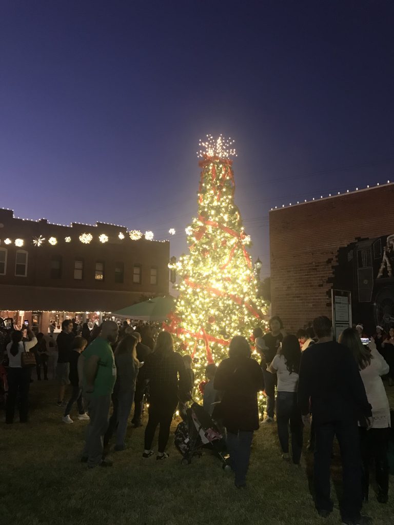 outdoor Christmas tree lit up at night