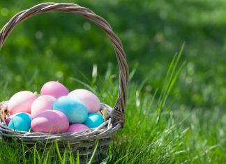Easter basket filled with colored eggs sits in grass