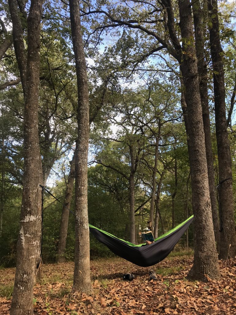 hammock hung between two trees 