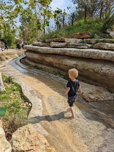 child walks in San Antonio botanical garden
